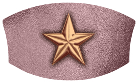 DNSWILL 430 CP OR Star Copper Orchid